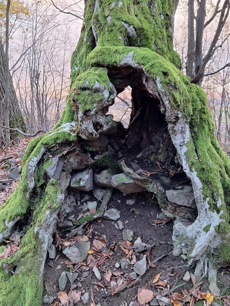 Burg Nad Banskou Stiavnicou Guest House Stiavnicke Bane Eksteriør bilde