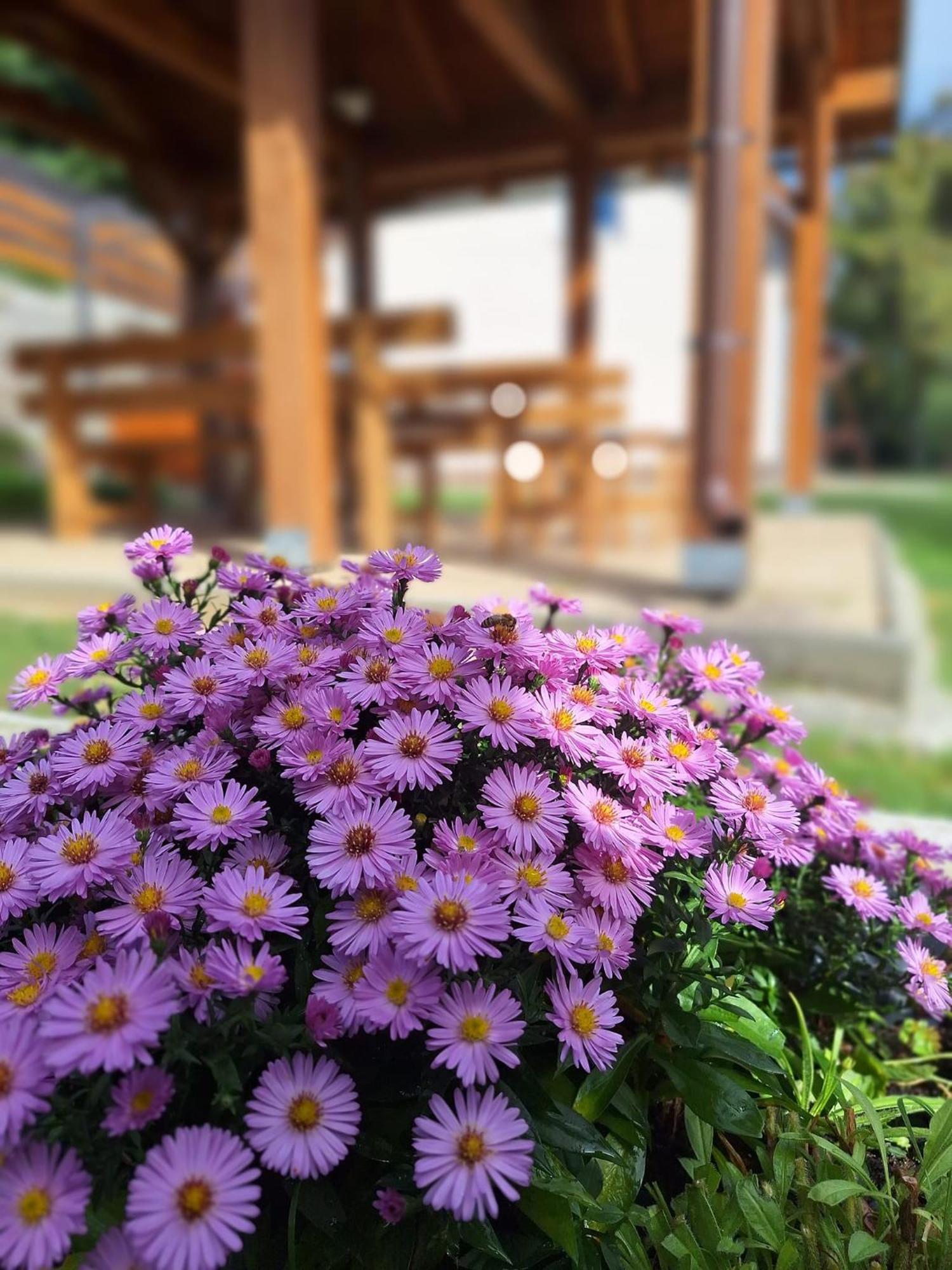 Burg Nad Banskou Stiavnicou Guest House Stiavnicke Bane Eksteriør bilde
